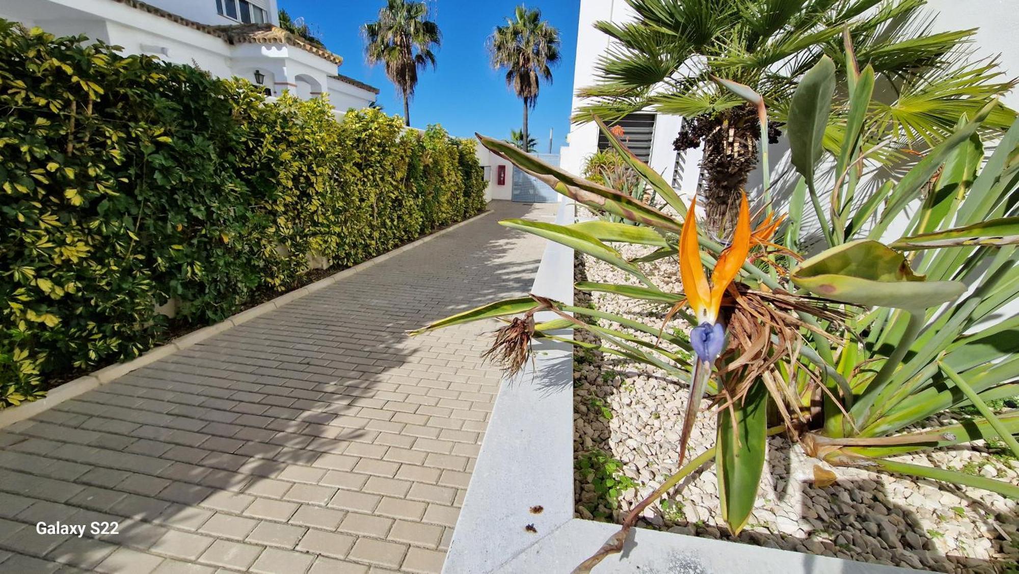 Apartament Boutelou Playa Con Vistas Al Mar Sanlúcar de Barrameda Zewnętrze zdjęcie